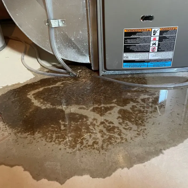 Pipe Burst and Leak Restoration in Sharpsburg, PA