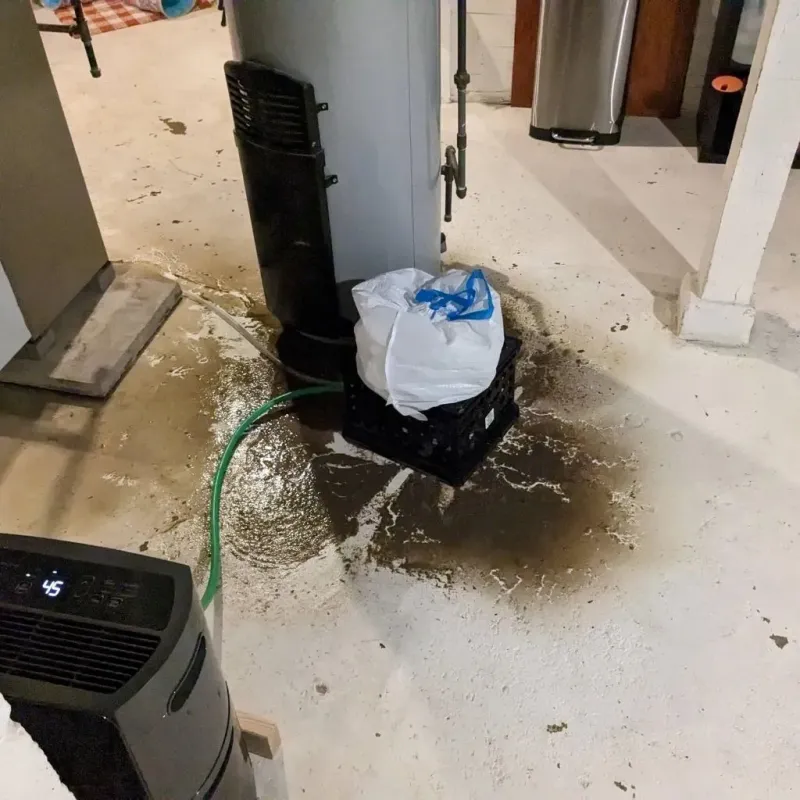 Sewage Backup Cleanup Service in Sharpsburg, PA